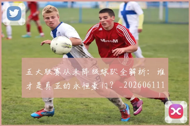 五大联赛从未降级球队全解析：谁才是真正的永恒豪门？_20260611141011